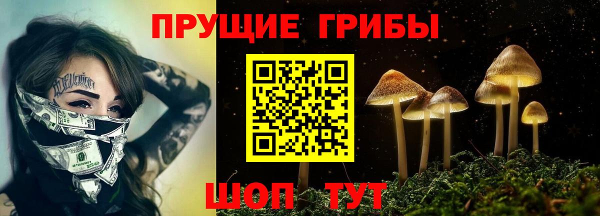 Псилоцибиновые грибы Magic Shrooms  Вход с VPN  Ялуторовск 