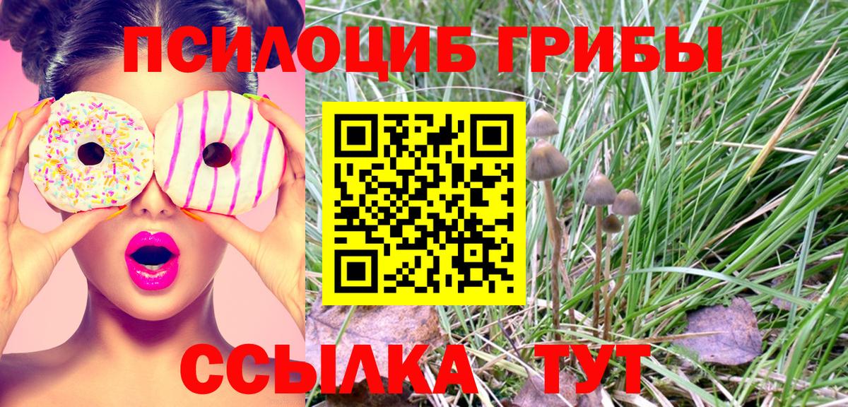 Псилоцибиновые грибы мицелий Ялуторовск